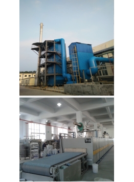 催化劑生產(chǎn)線SCR脫硝--中溫，高濃度NOx一步脫除